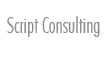 Script Consulting